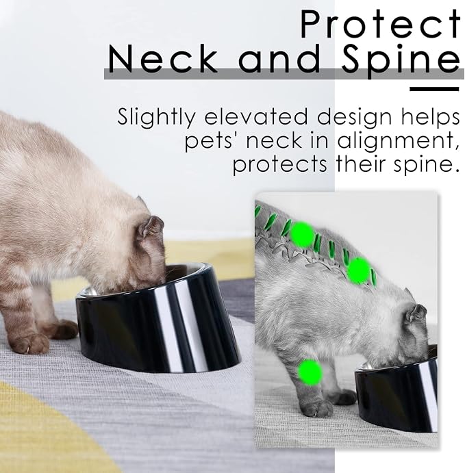 SuperDesign Mess Free 15° Slanted Bowl for Dogs and Cats, Tilted Angle Bulldog Bowl Dog Feeder, Non-Skid & Non-Spill, Easier to Reach Food M/1 Cup Dark Black