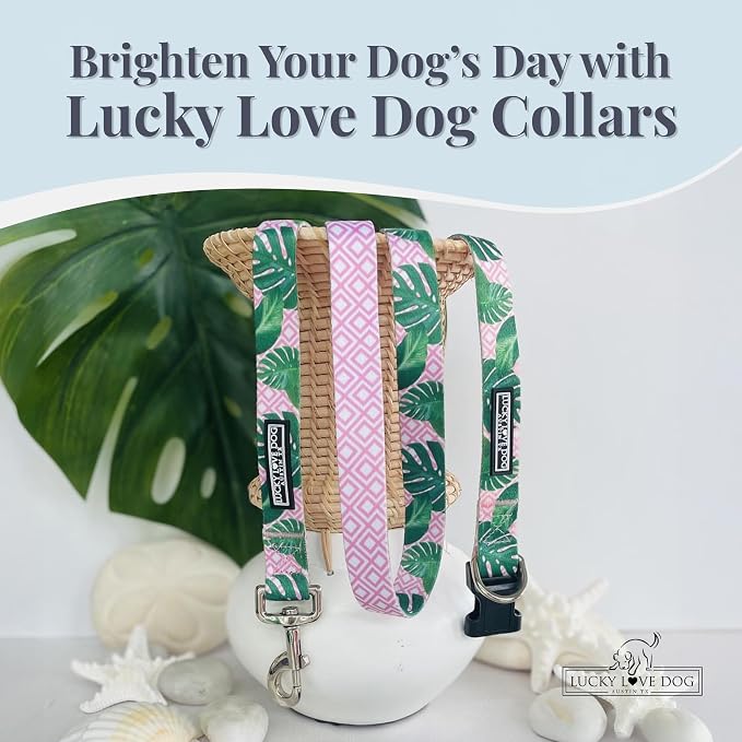 Lucky Love Dog Collars | Girl, boy Dog Collar for Small Medium Large Dogs - Comfortable, Soft, Cute - Laguna, Medium