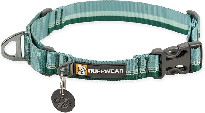 Ruffwear, Web Reaction Dog Collar, Escape-Proof Security Buckle, Adjustable Anti-Slip Martingale Collar with Durable Nylon Tubelok Webbing & Silent ID Attachment, River Rock Green, 20"-23"