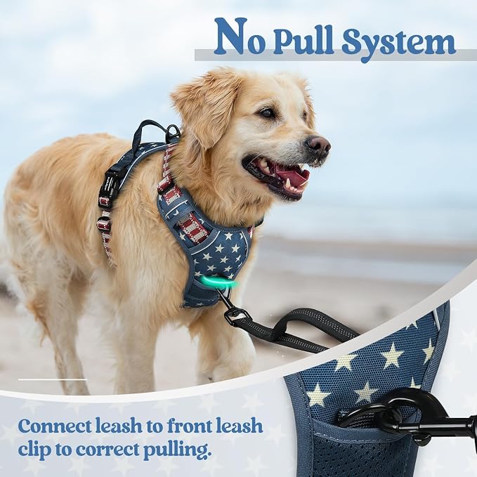rabbitgoo Dog Harness, No Pull Medium Sized with 2 Leash Clips, Pet Vest | No Choke with Handle, Adjustable Soft Padded, Reflective, Easy Control for Walking, Blue Star, Medium