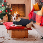 Dog Winter Jacket for Extra-Large Dogs, Pet Windproof Cold Weather Coats, Pets Clothes Snow Jacket, Golden Retriever, Labrador Retriever, Husky, NavyBlue XL