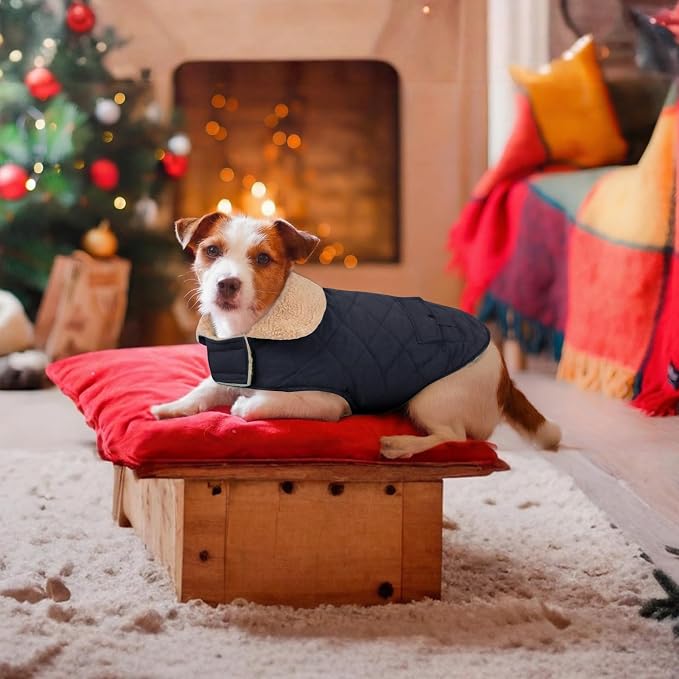 Winter Coat for Small Dogs, Puppy Plaid Jacket, Dog Jacket for Cold Weather, Windproof Warm Garments, Pets Thickened Outfits Indoor Outdoor, NavyBlue S