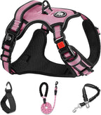 NESTROAD No Pull Dog Harness,Adjustable Oxford Dog Vest Harness with Leash,Reflective No-Choke Pet Harness with Easy Control Soft Handle for Small Dogs(X-Small,Pink)