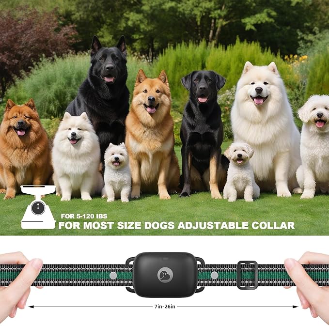 Dog Training Collar for 3 Dogs, Shock Collar with Remote, 2600FT | Rechargeable Electric Dog Collar With 3 Modes Vibration/Beep/Shock, IPX8 Waterproof E-Shock Collar Fits Small Medium Large