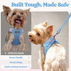 rabbitgoo Dog Harness Small Sized and Leash Set, Step-in Puppy Pet Vest | Light, Soft, Breathable Air Mesh, Easy on and Remove with Hook & Loop, Secure Reflective for Walking, Blue & Plaid Trim XXS
