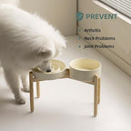 Havniva Elevated Slow Feeder Dog Bowls, Ceramic Dog Bowl Slow Feeder Set | 3.2 Cups Raised Slow Feeding Bowl for Large Breed, 8.2” Dog Water Bowl with Wooden Stand, Puzzle Dog Slow Feeder, Non-slip