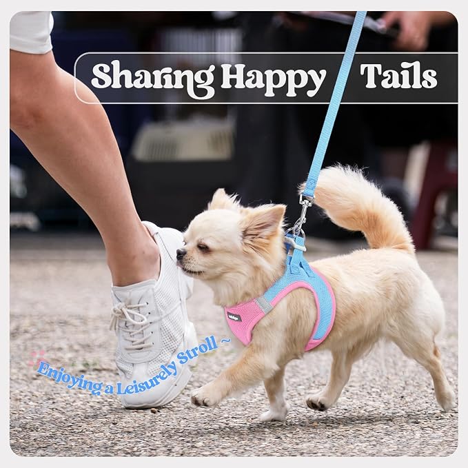rabbitgoo Dog Harness Small Sized and Leash Set, Step-in Puppy Pet Vest | Light, Soft, Breathable Air Mesh, Easy on and Remove with Hook & Loop, Secure Reflective for Walking, Blue & Light Pink XS