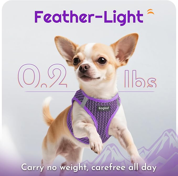Eagloo Small Dog Harness and Leash Set, Step in Extra Small Puppy Pet Vest | Light, Soft, Breathable Air Mesh, Easy on and off with Hook & Loop, Reflective for Safe Walking, Purple, XXS