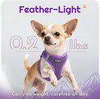Eagloo Small Dog Harness and Leash Set, Step in Medium Small Puppy Pet Vest | Light, Soft, Breathable Air Mesh, Easy on and off with Hook & Loop, Reflective for Safe Walking, Purple, M