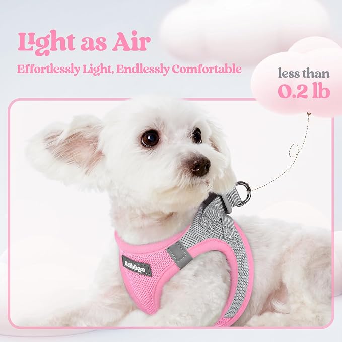 rabbitgoo Dog Harness Small Sized and Leash Set, Step-in Puppy Pet Vest | Light, Soft, Breathable Air Mesh, Easy on and Remove with Hook & Loop, Secure Reflective for Walking, Light Pink & Gray S