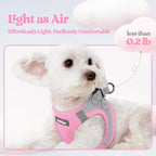 rabbitgoo Dog Harness Small Sized and Leash Set, Step-in Puppy Pet Vest | Light, Soft, Breathable Air Mesh, Easy on and Remove with Hook & Loop, Secure Reflective for Walking, Light Pink & Gray S