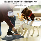 AsFrost Dog Food Bowls, BPA Free Stainless Steel Dog Food and Water Bowl Set, 2 Large Dog Bowls with No Spill Non-Skid Silicone Mat, Dog Dishes for Medium Large Sized Dogs Pet Bowls, 6 Cup, Grey
