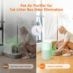 AIRROMI Pets Air Purifier for Home Allergies,Up to 660 ft². HEPA Deodorizing Activated Carbon Filter,With Fragrance Sponge for Better Sleep,Night Light,Pet Dander,Smoke,Odors,Air Cleaner A2002 Green