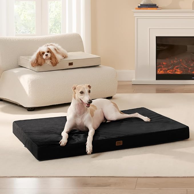 EHEYCIGA Washable Dog Crate Bed for Medium Dogs, 30x20Inch, Black | High Density Egg Crate Foam, Orthopedic Memory Foam, Removable Easy Clean Cover, Non-Slip Bottom, Fits Crate, Floor and Sofa