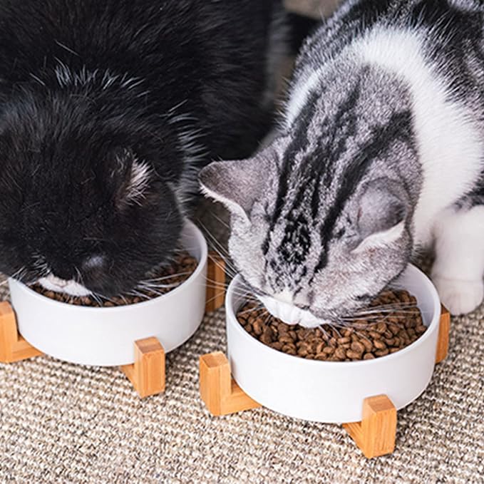 Petygooing White Ceramic Cat Dog Bowl Set with Stand,Small Dog Bowls,Pet Food and Water Dish, Anti Slip Set of 2 Cat Bowls Pet Food Bowl- Pet Dish Small Size Pet (13.5OZ/5.1 in)