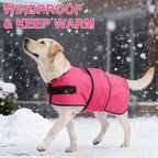 BEAUTYZOO Dog Winter Coat for Large Dogs Waterproof, Warm Reflective Great Dane Oxford Canvas Jacket, Fleece Dog Cold Weather Coats Windproof for Female Male Dogs, Rose Pink L