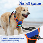 rabbitgoo Dog Harness, No Pull for Large Dogs with 2 Leash Clips, Pet Vest | No Choke with Handle, Adjustable Soft Padded, Reflective, Easy Control for Walking, Blue & Orange, Large