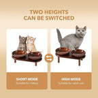 Havniva Elevated Cat Bowls, Ceramic Cat Bowl with Wood Stand, Wide Opening | 5.7” Raised Cat Food Bowls, Whisker Friendly Cat Dish, Anti-Slip Cat Water Bowls, Shallow Cat Bowls, Cat Food & Water Bowl