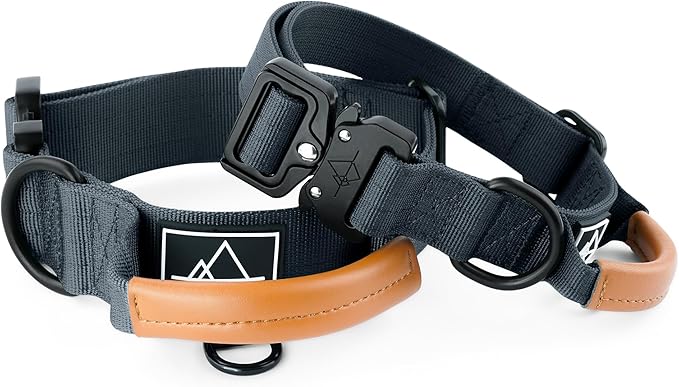 MADE TO ROAM Control Dog Collar | Leather Handle & Heavy Duty Metal Buckle | Premium adjustable collar with vegan leather handle. Fits medium to large dogs. 15 colors. Matching leash & harness
