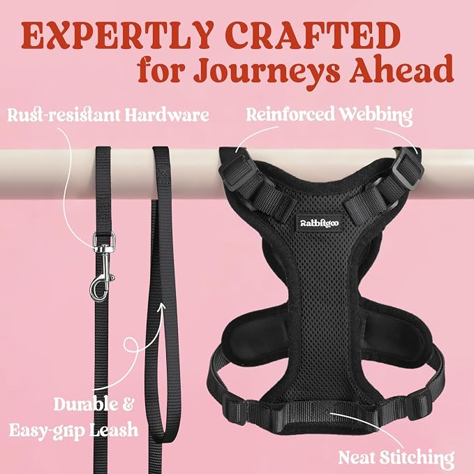 rabbitgoo Cat Harness and Leash Set, Escape Proof Vest, Black | Soft Breathable Mesh, Easy Adjustable Fit, Snap Buckles, Sturdy Clip, Reflective Strips, for Average Cats Walks, S