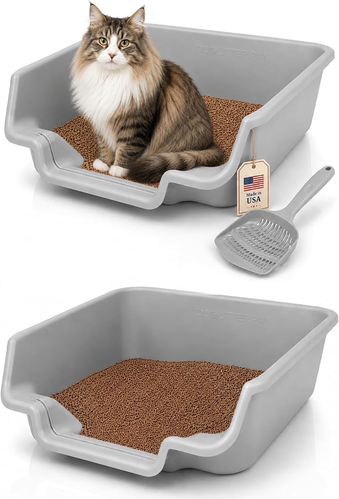 KittyGoHere Senior Cat Litter Box Jumbo with Scoop - 2 Pack Misty Gray | Open Top Low Entrance Kitty Litter Box With Long-handle Jumbo Scoop, Lightweight Low Entry Litters Box, Durable, Made in USA