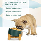 SPUNKYJUNKY 15° Slanted Ceramic Dog and Cat Bowl with Wooden Stand, Tilted Bulldog Food and Water Bowl No Slip Non-Spill for Cats Medium Dogs Big Face Pets 28.7 OZ (3.6 Cups, Green)
