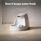 PetSafe Drinkwell Platinum Cat Fountain, Includes 12 Carbon Filters | 168 Oz Capacity, Falling Stream Encourages Drinking, Adjustable Flow, Top-Shelf Dishwasher Safe, 12 Filters Included