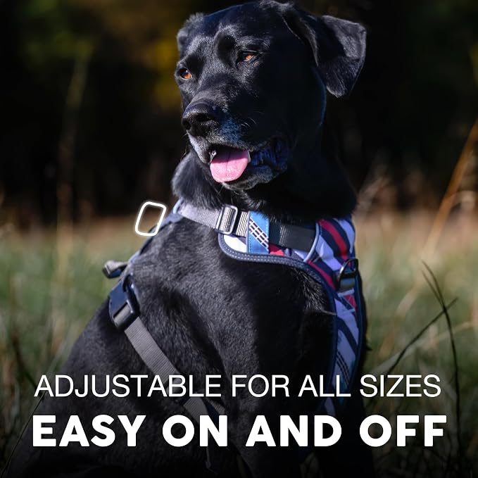 Embark Adventure Small Dog Harness – No-Pull, Reflective Trim, Military-Grade Nylon, Front Clip with Gel-Lined Handle