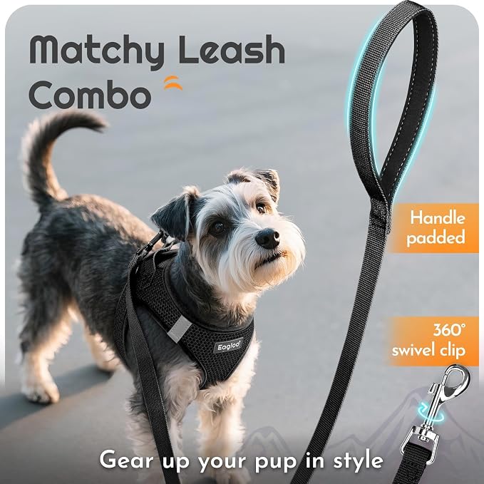 Eagloo Small Dog Harness and Leash Set, Step in Medium Small Puppy Pet Vest | Light, Soft, Breathable Air Mesh, Easy on and off with Hook & Loop, Reflective for Safe Walking, Black, M
