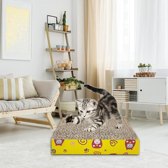 Kitten Starter Kit - 15 Piece Cat Essentials Set Includes Litter Box, Toys, Collars, Scratch Pad, Nail File, Automatic Feed Bowls, Grooming Gloves for Daily Life (Green)