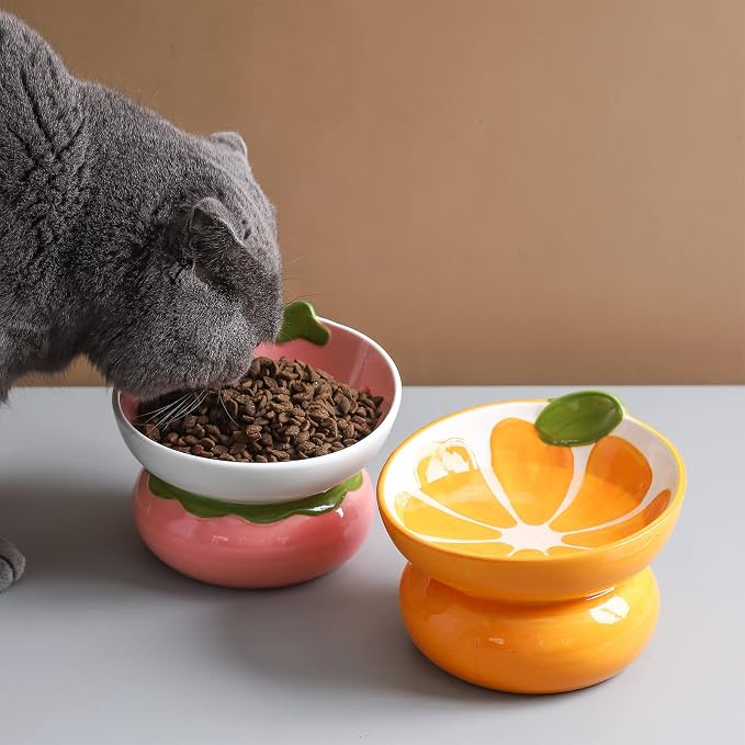 Cute Ceramic Raised Cat Food Bowl, Orange Shaped Cat Dish | Elevated Design, Fruit Themed, Anti Vomiting, Tilted Feeding, Indoor Cats