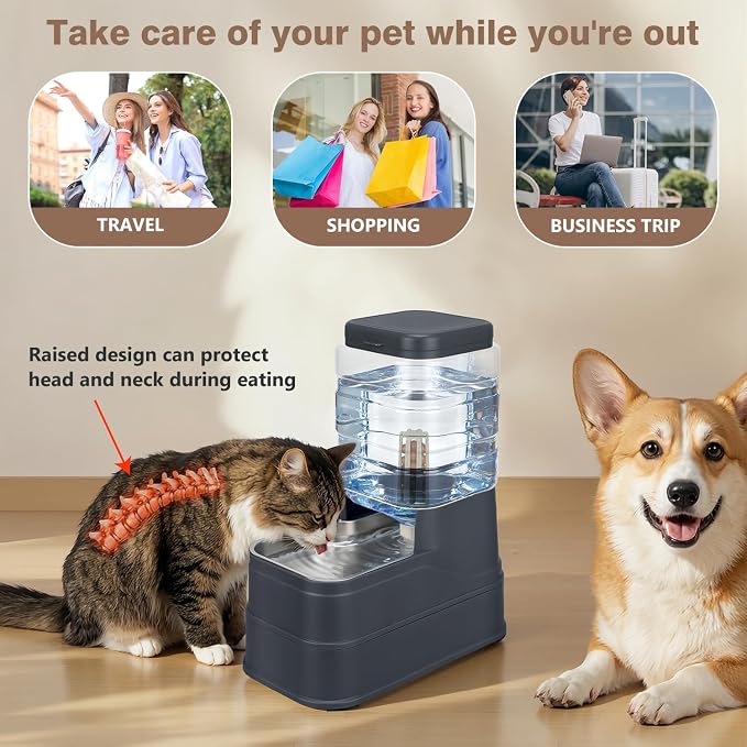 1.6 Gallon Pet Automatic Dog Water Dispenser Cat Gravity Waterer Feeder with Stainless Steel Bowl 8L Large Capacity Puppy Feeding Raised Bowls with Filter,Ice Pack (Charcoal Gray, 6L(1.6 Gallon))