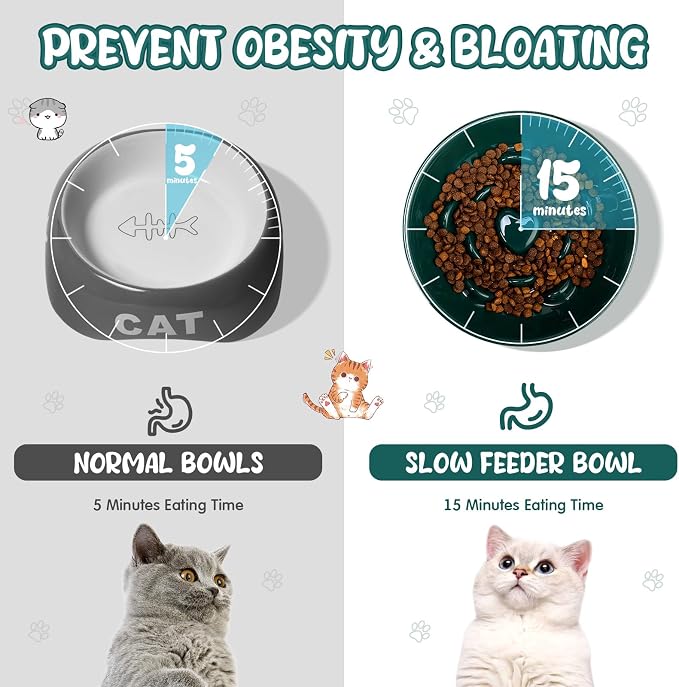 Tioncy 1 Pcs Ceramic Elevated Slow Feeder Cat Bowl, Raised Cat Slow Feeder Bowl, Anti Vomiting for Dry and Wet Food, No Spill High Edge Easy Clean Dishwasher Safe (Dark Green)