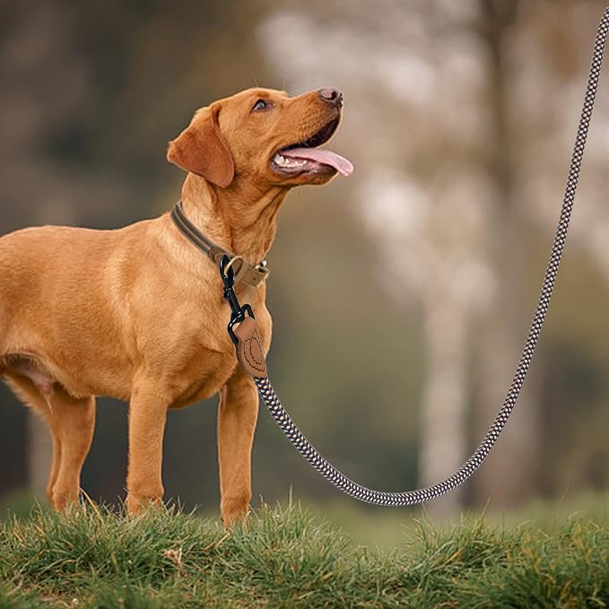 Mile High Life Dog Leash with Genuine Leather Connection, 6 FT/5 FT/4 FT | Rope Leash, Heavy Duty 360° Swivel Metal Clasp, for Small Medium & Large Dogs (Brown, 72 Inch)