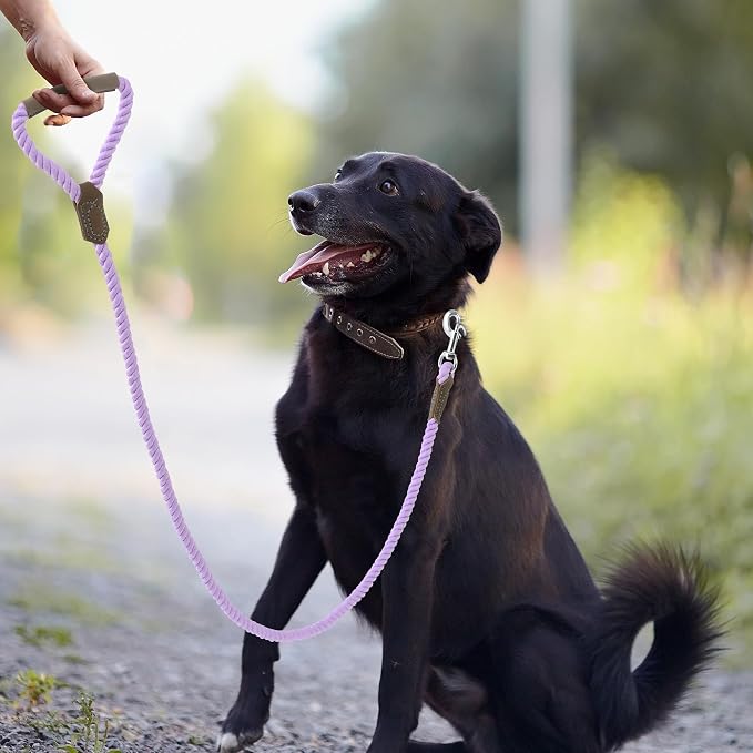 Mile High Life Dog Leash Braided Cotton Rope w/Leather-Wrapped Ends/Handle | Rust-proof 360° swivel clasp, Heavy-duty for medium/large breeds. Great for weddings, daily walks (4 FT, 1/2", Purple)