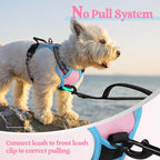 rabbitgoo Dog Harness, No Pull for Small Dogs with 2 Leash Clips, Pet Vest | No Choke with Handle, Adjustable Soft Padded, Reflective, Easy Control for Walking, Pink & Blue, X-Small