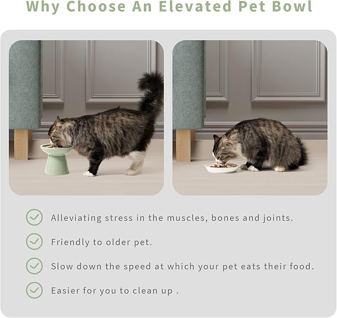 CEEFU 2-Pack Elevated Ceramic Cat Bowls Extra Wide for Food & Water | Anti Vomiting, Whisker Friendly, Shallow Food Dish and Deep Water Bowl, Lead&Cadmium-Free, Raised Height for Cats, Sage Green