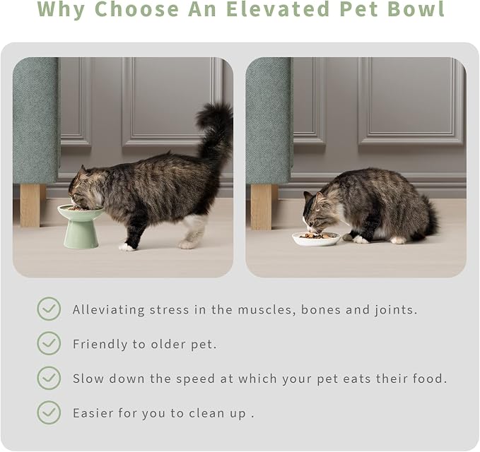 CEEFU 2 Elevated Ceramic Cat Bowls Upgraded with Food Mat for Food & Water | Extra Wide – Whisker Fatigue Shallow Food Dish, Lead & Cadmium-Free, Raised Height for Cats, Sage Green