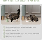 CEEFU 2 Elevated Ceramic Cat Bowls Upgraded with Food Mat for Food & Water | Extra Wide – Whisker Fatigue Shallow Food Dish, Lead & Cadmium-Free, Raised Height for Cats, Sage Green
