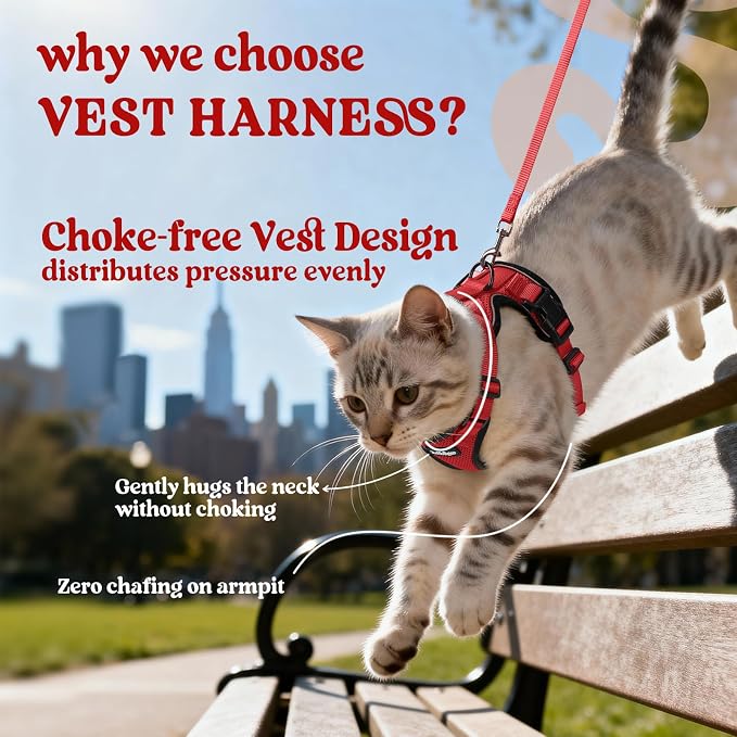 rabbitgoo Cat Harness and Leash Set, Escape Proof Vest, Red | Soft Breathable Mesh, Easy Adjustable Fit, Snap Buckles, Sturdy Clip, Reflective Strips, for Medium to Large Cats Walks, M