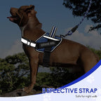 Service Dog Vest Harness and Leash Set, Animire in Training Dog Harness with 10 Dog Patches, Reflective Dog Leash with Handle for Small, Medium, Large, and Extra-Large Dogs (Blue,XL)
