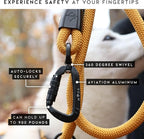MADE TO ROAM Premium Explorer Leash - Climbing Rope Leash with Autolocking Aviation Aluminum Carabiner - Oregon Haze, 6ft