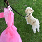 Large Dog Waste Bags on a Roll with Easy Tie Handles, Extra Thick and Strong Dog Poop Bags, 288 Count, Scented, Rainbow