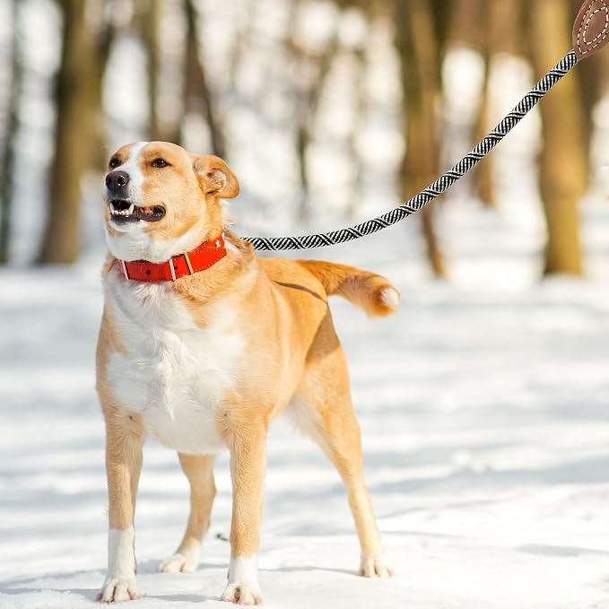 Mile High Life Dog Leash with Genuine Leather Connection, 6 FT/5 FT/4 FT | Rope Leash, Heavy Duty 360° Swivel Metal Clasp, for Small Medium & Large Dogs (White Beige, 60 Inch)