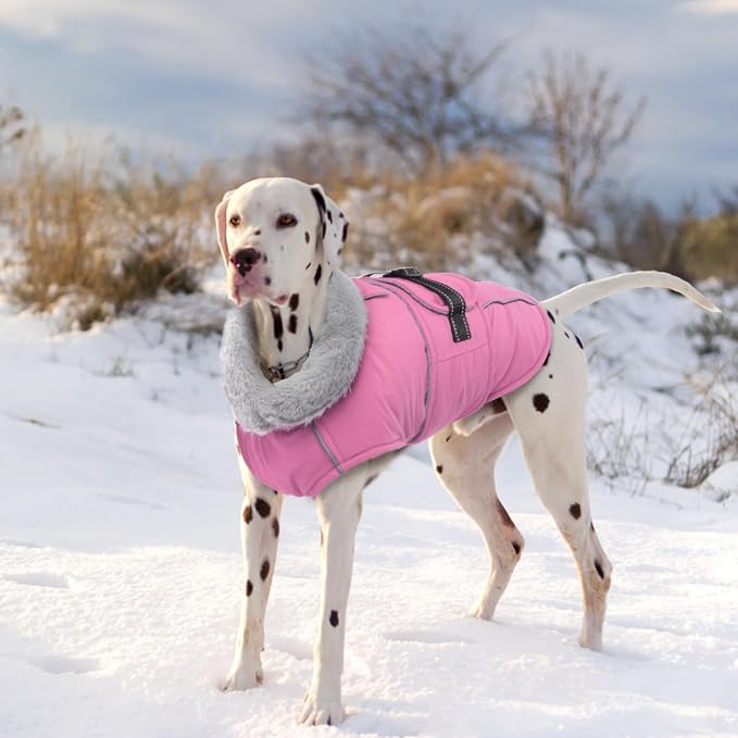 Lelepet Dog Coats for Small Dogs Waterproof Dog Jacket with Adjustable Fit | Reflective Pet Fleece Vest Hook & Loop Windproof Cold Weather Coats with Adjustable Buckle & Leash Hole, Pink, S