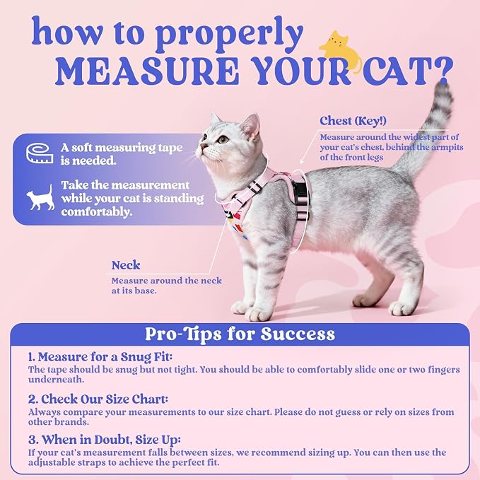 rabbitgoo Cat Harness and Leash Set, Escape Proof Vest, Purrty Pink | Soft Breathable Mesh, Easy Adjustable Fit, Snap Buckles, Sturdy Clip, Reflective Strips, for Kittens & Small Cats Walks, Xxs