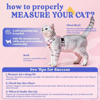 rabbitgoo Cat Harness and Leash Set, Escape Proof Vest, Purrty Pink | Soft Breathable Mesh, Easy Adjustable Fit, Snap Buckles, Sturdy Clip, Reflective Strips, for Small & Average Cats Walks, Xs
