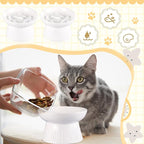 Layhit 2 Pack Raised Slow Feeder Cat Bowls Ceramic Elevated Cat Food Bowls Anti Vomiting Slow Feeder for Dog and Kitten for Dry and Wet Food(White)