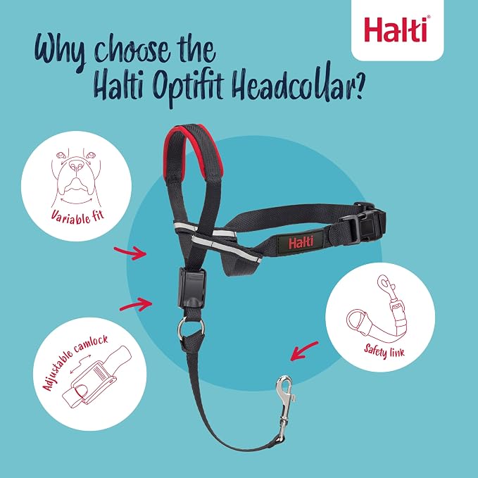 Halti Optifit Headcollar - Stop Your Dog Pulling on the Leash. Adjustable, Reflective and Lightweight, with Padded Nose Band. Dog Training Anti-Pull Collar for Large Dogs (Size Large) | Stop Your Dog Pulling on the Leash | Professional Anti-Pull Traini...