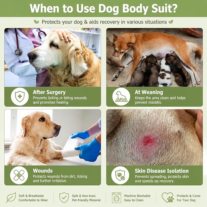 Dog Recovery Suit, 2 Packs, Breathable Cotton, Abdominal Wounds Protection, Anti-Licking Onesies for Male Female Pets, Surgery Bandages, Size S, Blue & Green Stripes